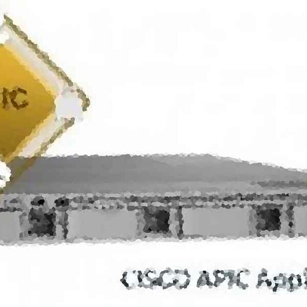 Cisco APIC менеджер по продукции Ананд разделяет ACI Инновации с Ravi Balakrishnan