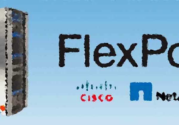 Клиенты Flexpod выделят преимущества для бизнеса