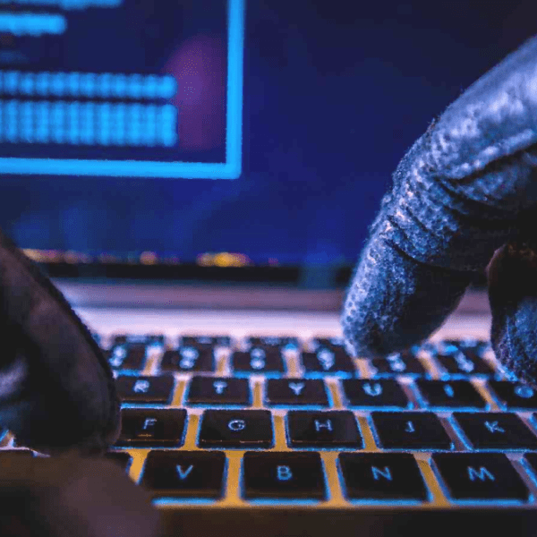 Хакеры атакуют мошенников при помощи шифровальщика, полный курс по кибербезопасности Алматы