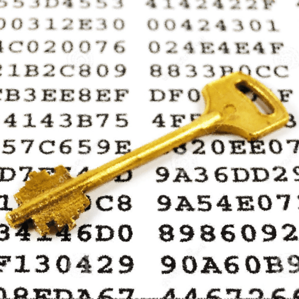 Операторы шифровальщика WannaRen дали пользователям ключи, полный курс по кибербезопасности секреты хакеров Тбилиси