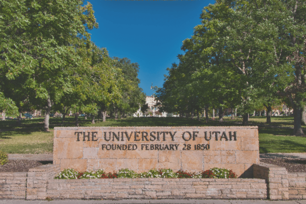 Шифровальщик NetWalker ограбил Университет Юты на 457 тысяч долларов, специалист по информационной безопасности где учиться Тбилиси