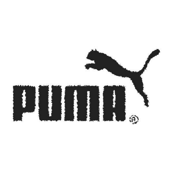 Злоумышленники украли конфиденциальную информацию Puma, информационная безопасность заочное обучение