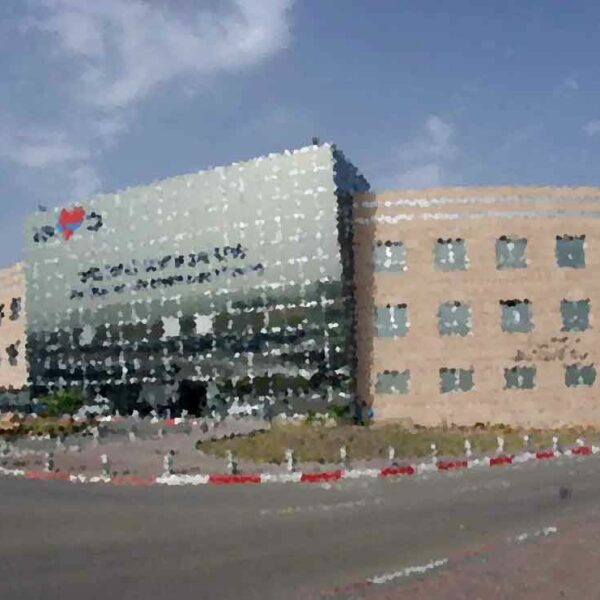 Хакерская группировка из Китая атаковала больницы Израиля, защита информации Нижний Новгород