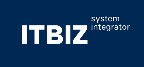 Компания ITBIZ