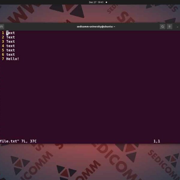 Текстовые редакторы командной строки Линукс — vim, курсы Linux скачать торрент Бишкек