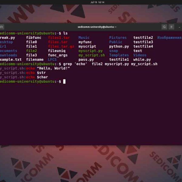 Поиск текста по файлам с помощью консоли в Линукс, курсы Linux индивидуальное обучение Тарту