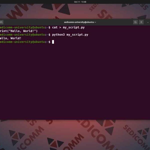 Как создать скрипт на Python в Ubuntu, DevOps / DevNet слив курсов Ашхабад