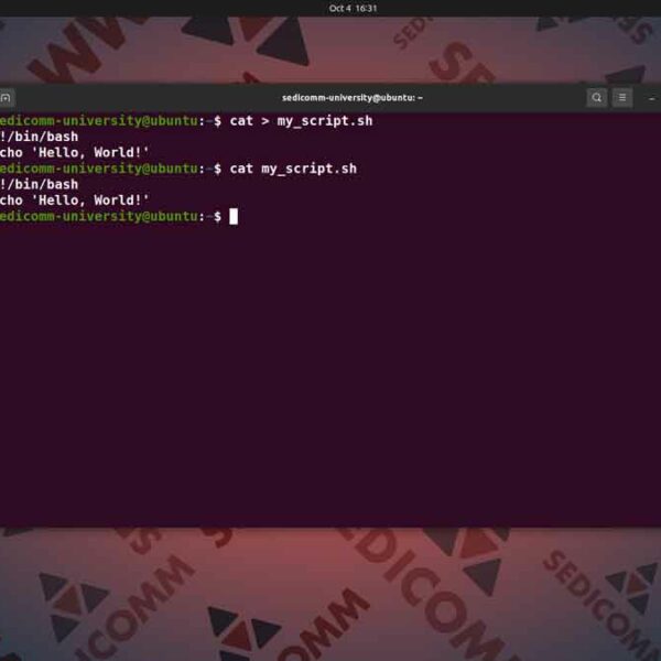 Как создать свой скрипт в Ubuntu, курс программирование Линукс Шымкент