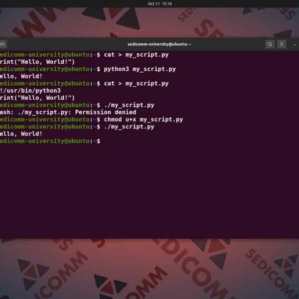 Как выполнить скрипт на Python в Ubuntu, курсы DevOps / DevNet торрент Тарту