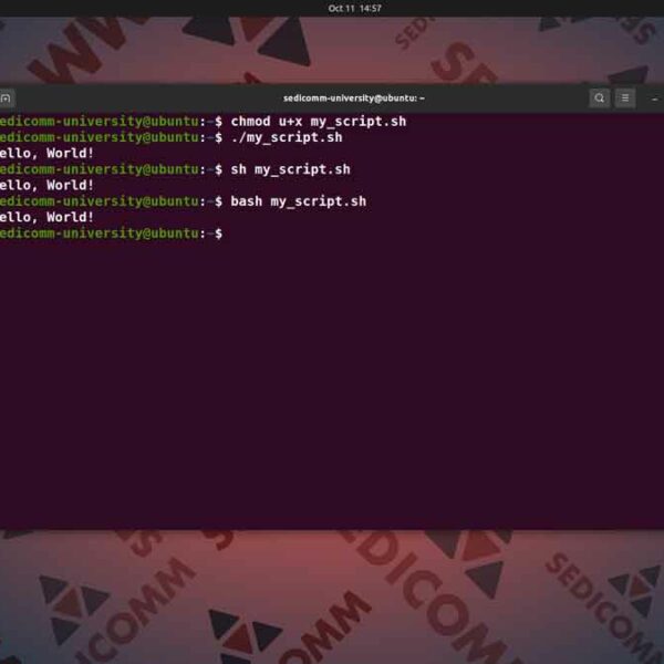 Как выполнить свой скрипт в Ubuntu, курс программирование Линукс Душанбе