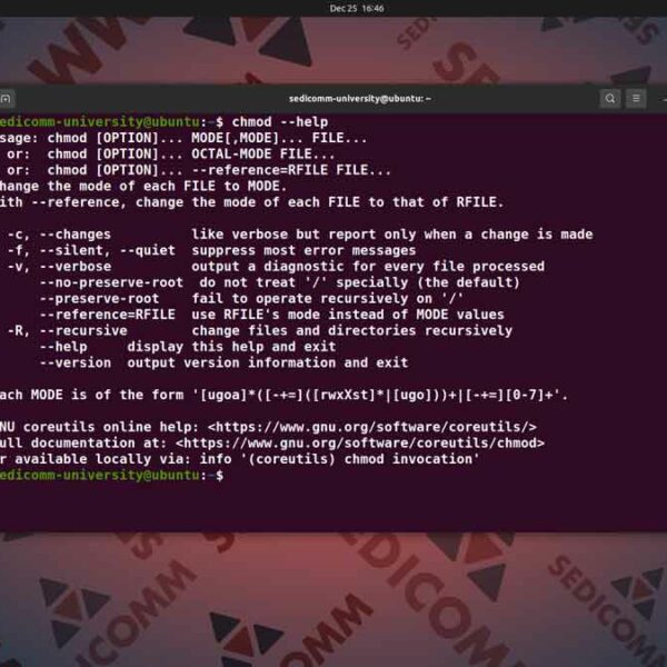 Изменение атрибутов файла — команды chown и chmod, основы Linux курс Клайпеда