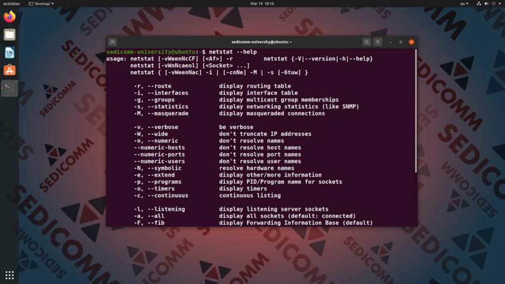 Основы Linux для программируемых сетей — прослушивание порта процессом, ч.1, DevOps / DevNet курс обучения Ереван