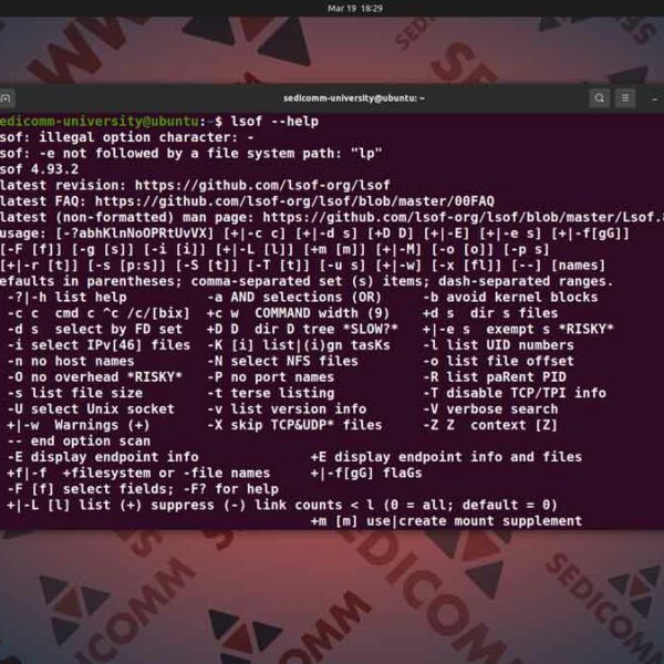 Основы Linux для программируемых сетей — прослушивание порта процессом, ч.2, DevOps / DevNet курс обучения Баку