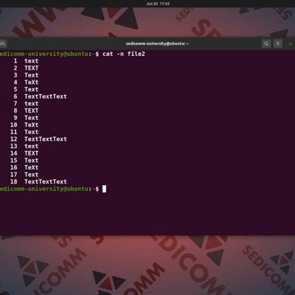 Как добавить номера строк в содержимом текстового файла в Linux, курс программирование Линукс Ашхабад